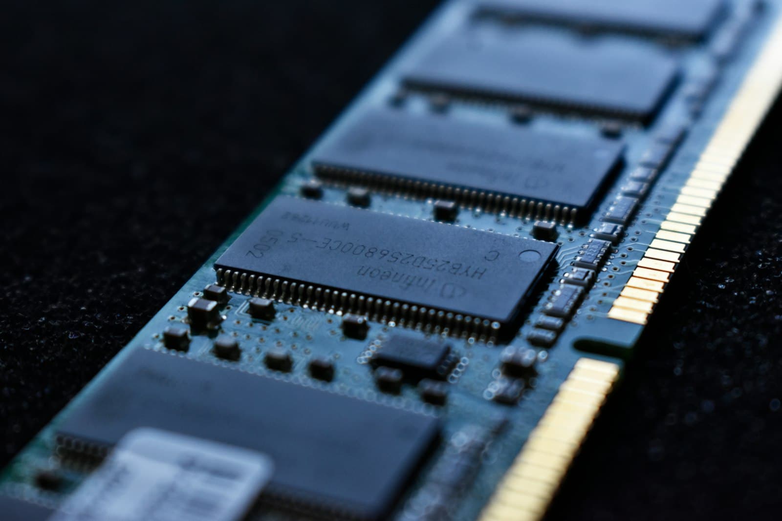 Close-up of a computer memory module with its chips and gold contacts.
